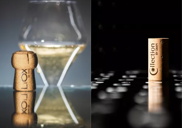 Innovations Diam : Liox et Collection 